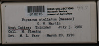 Image Associated With the Occurence